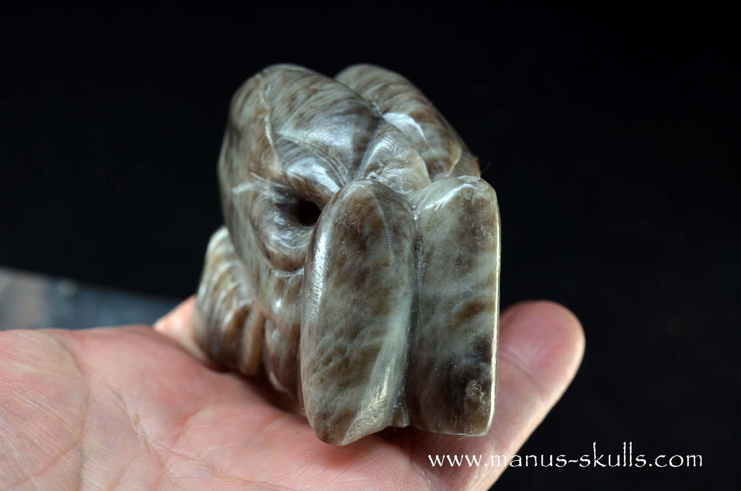 Black Greenland Moonstone ~ Seal Stone Dragon