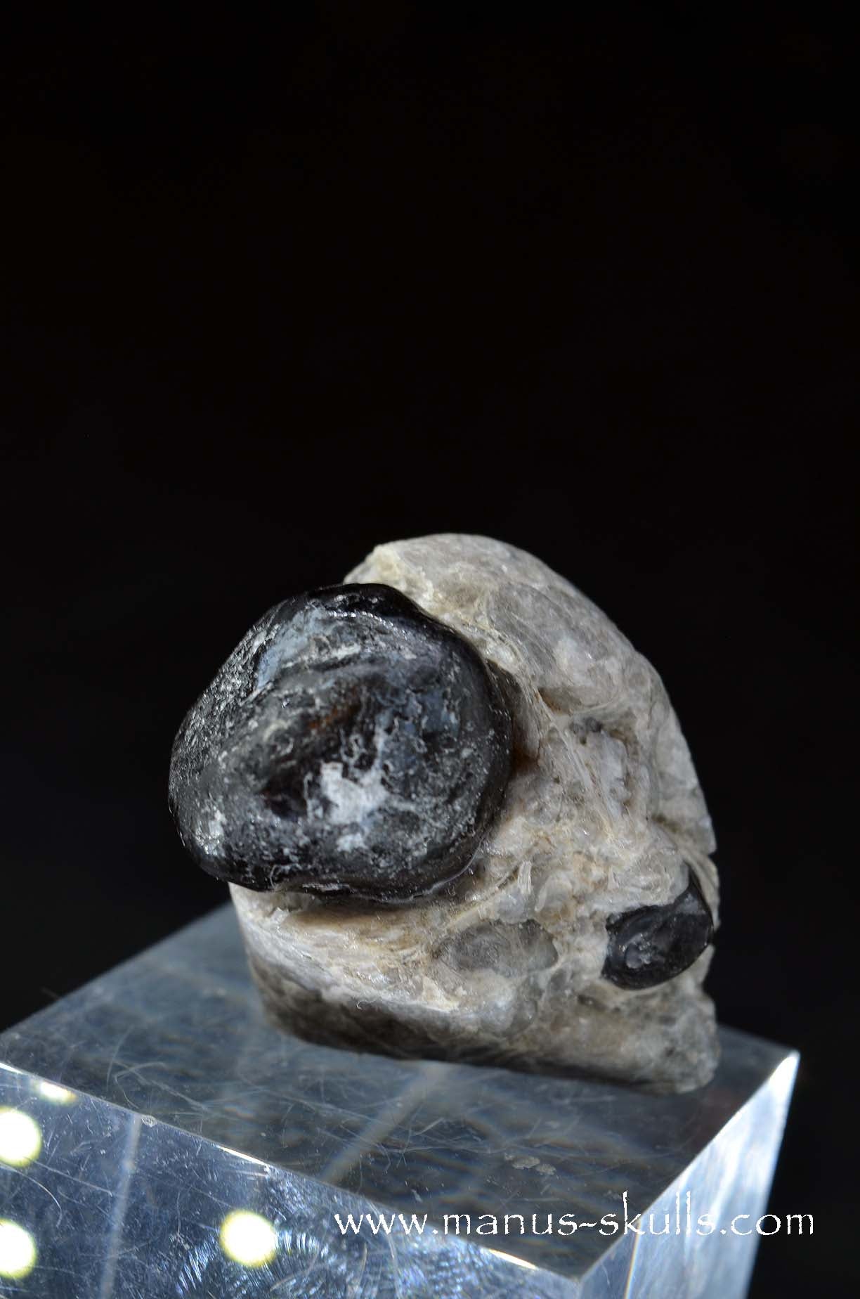 Apache Tears Obsidian on Matrix Skull #3