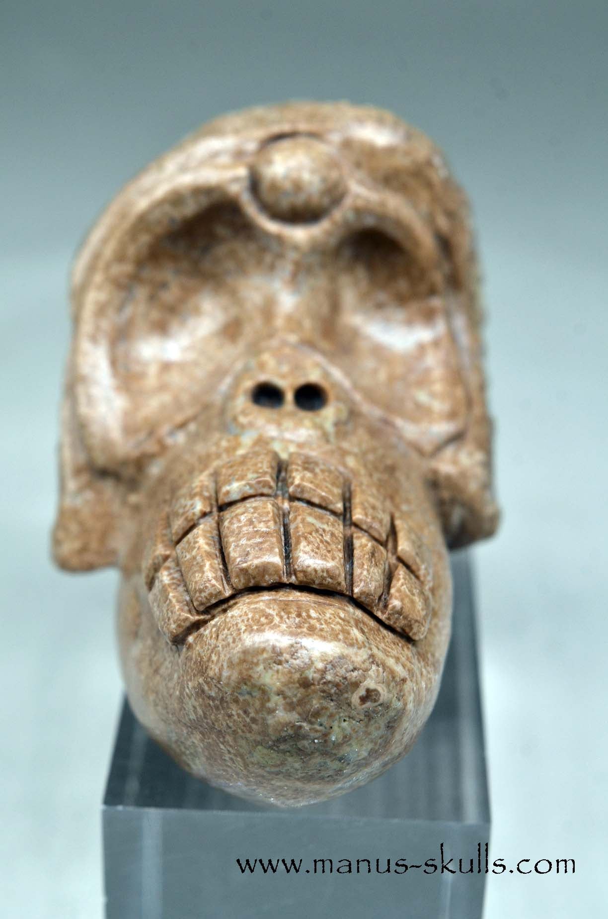 Evolian Manus SKULL