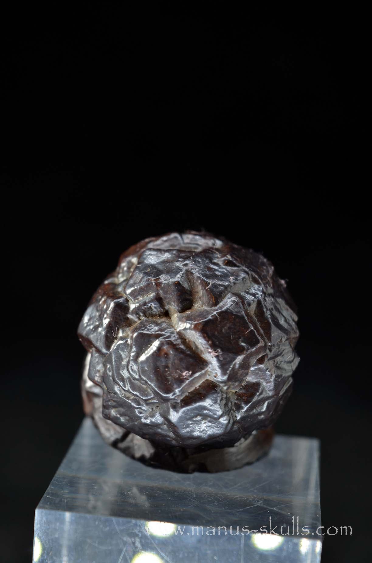 Prophecy Stone Evolian #05