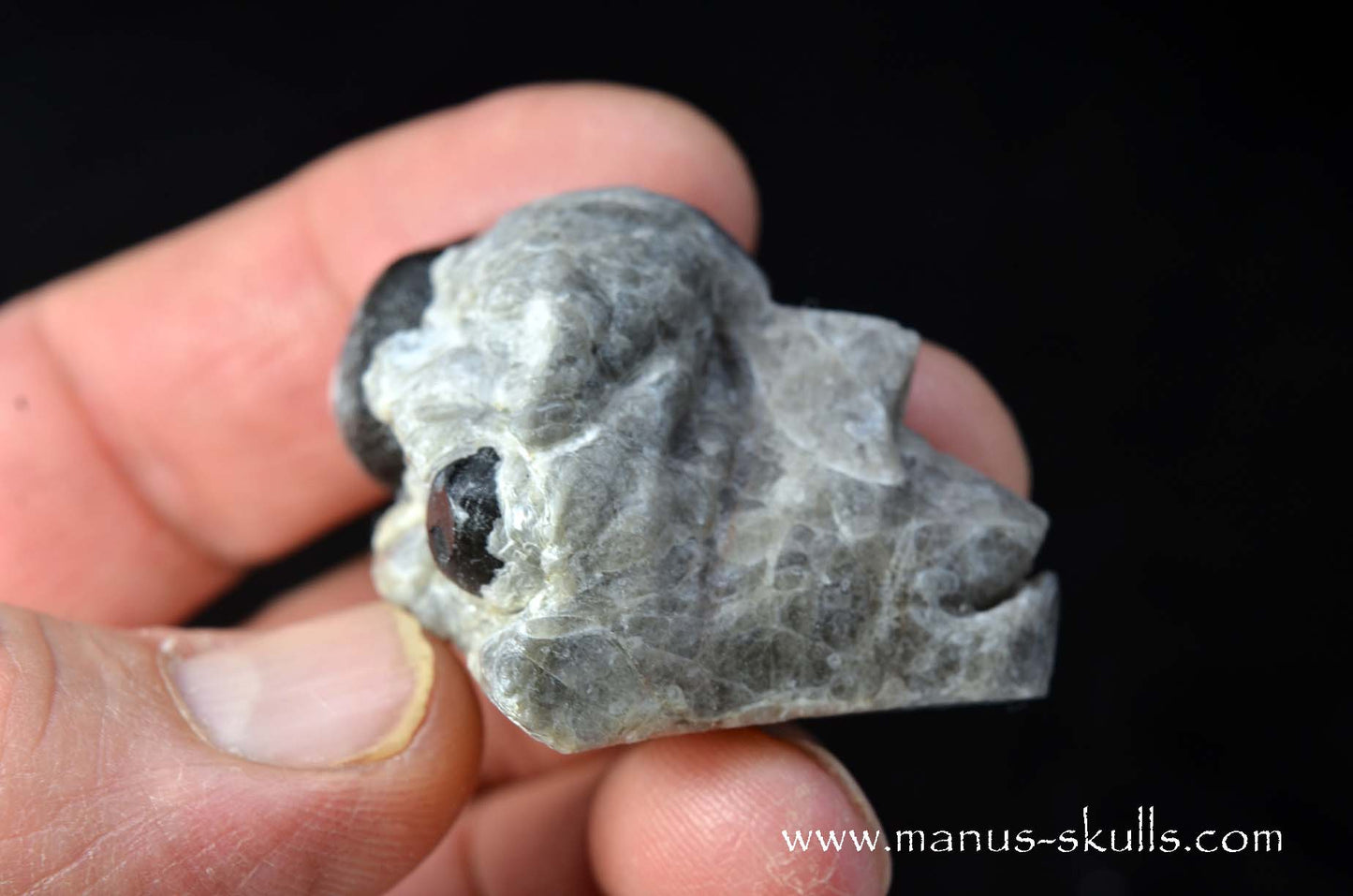 Apache Tears Obsidian on Matrix Skull #3