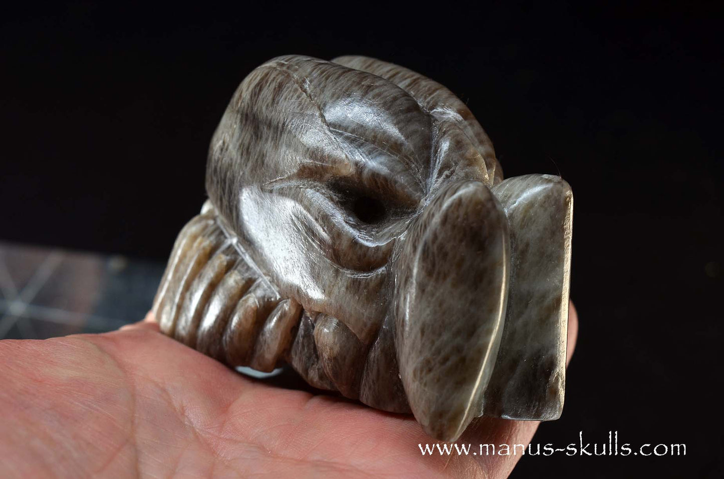 Black Greenland Moonstone ~ Seal Stone Dragon