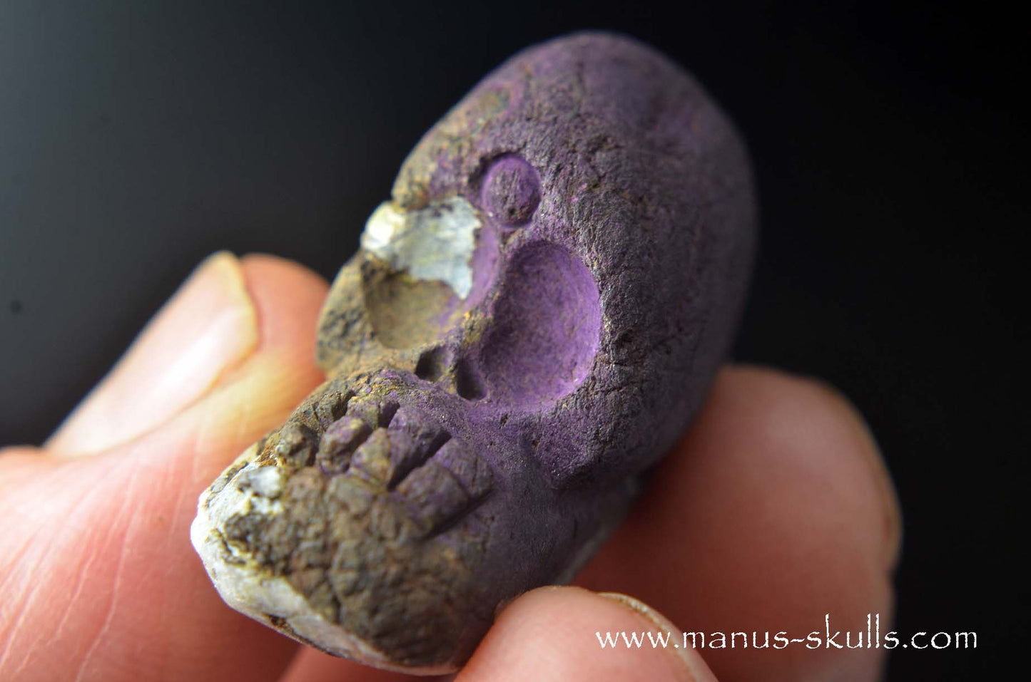 Purpurite Evolian #07