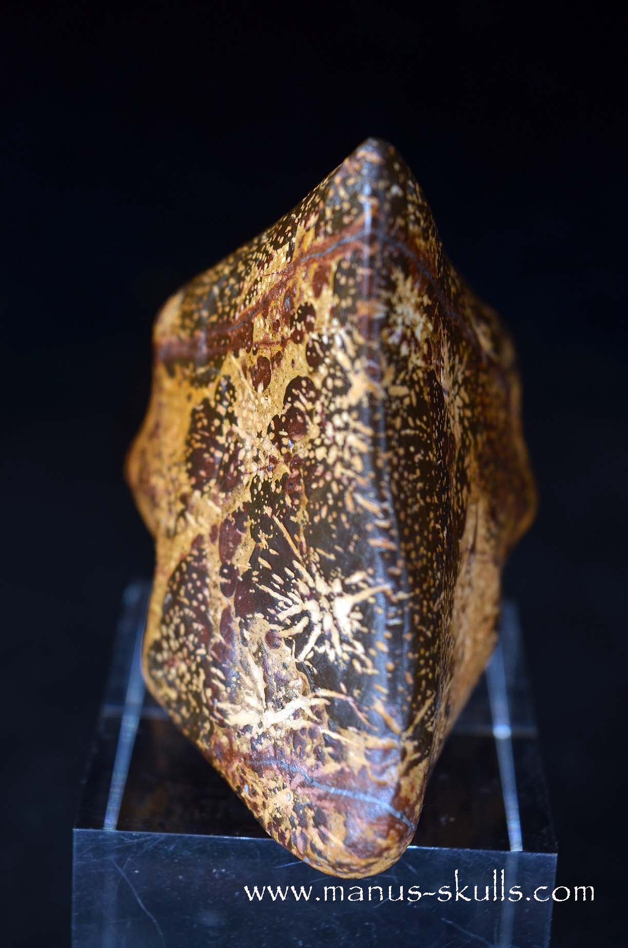 Star Rhyolite Jasper Conehead Skull