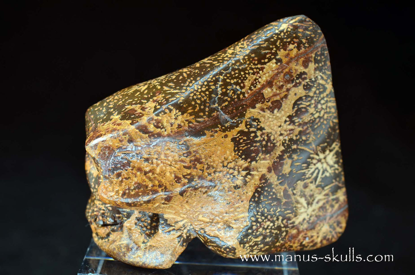 Star Rhyolite Jasper Conehead Skull