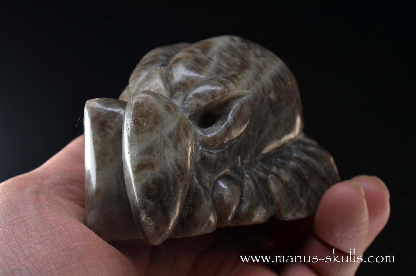 Black Greenland Moonstone ~ Seal Stone Dragon