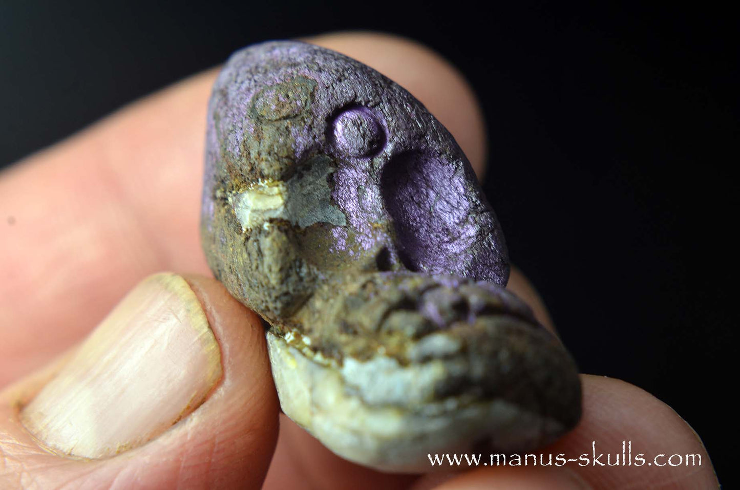 Purpurite Evolian #07