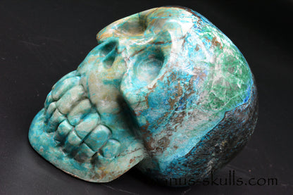 Shattuckite, Chrysocolla Skull