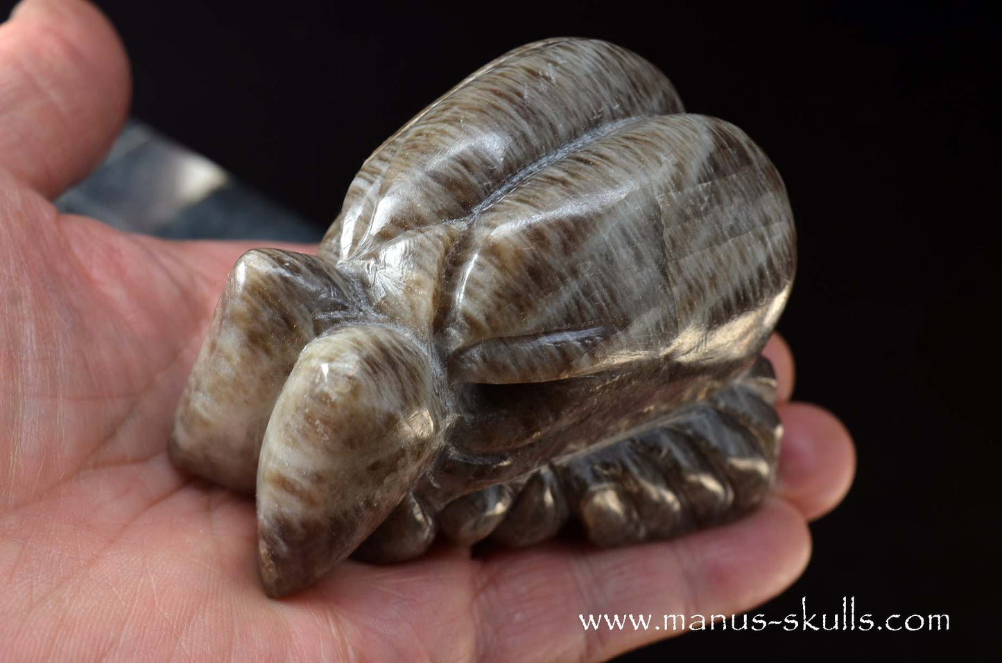 Black Greenland Moonstone ~ Seal Stone Dragon