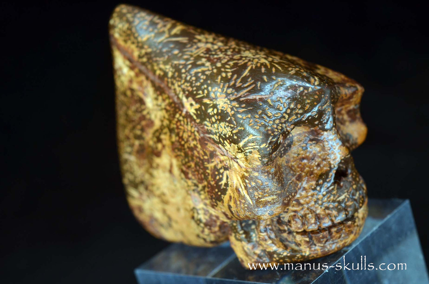 Star Rhyolite Jasper Conehead Skull