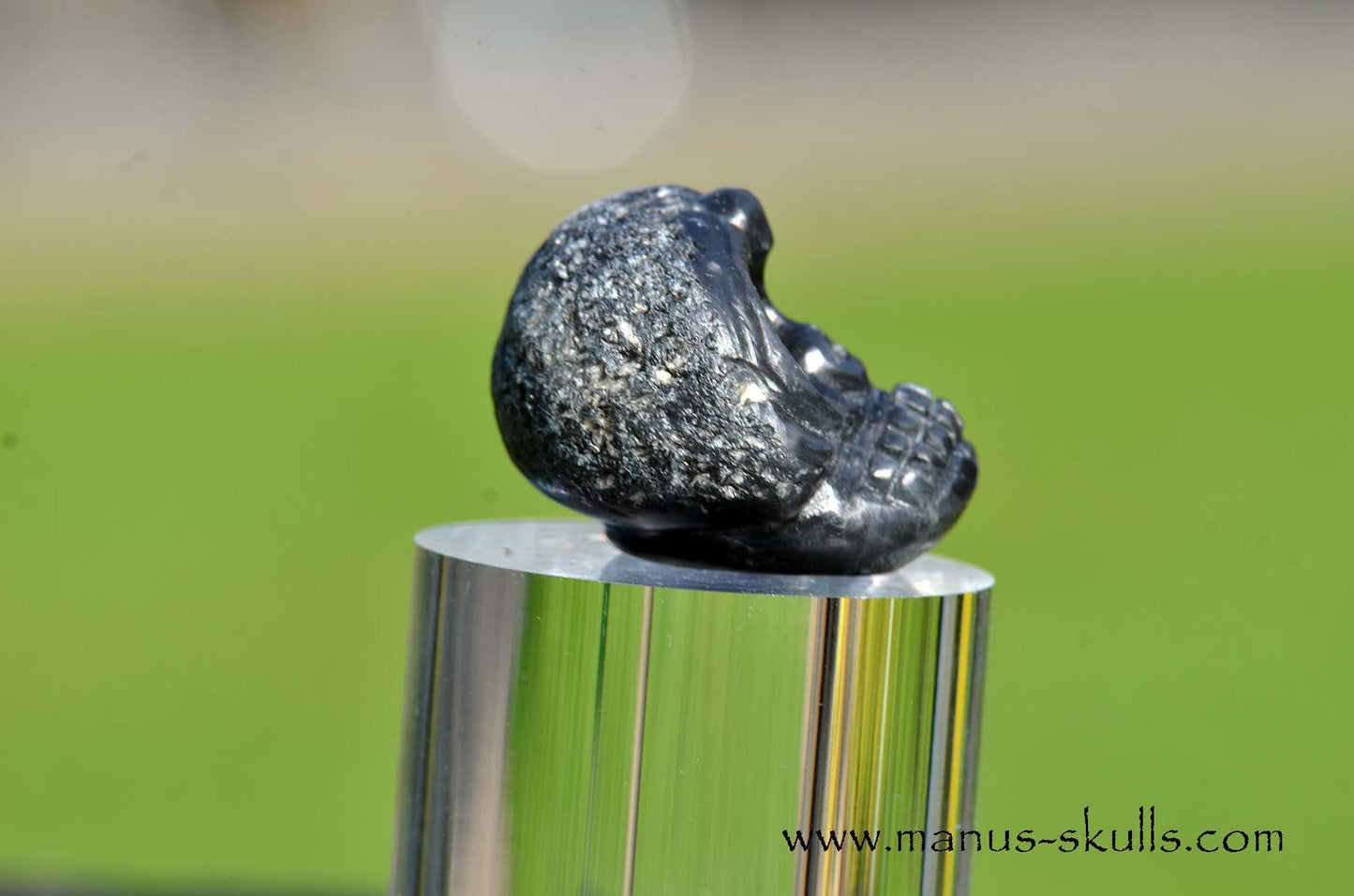 Agni Manitite Evolian #11