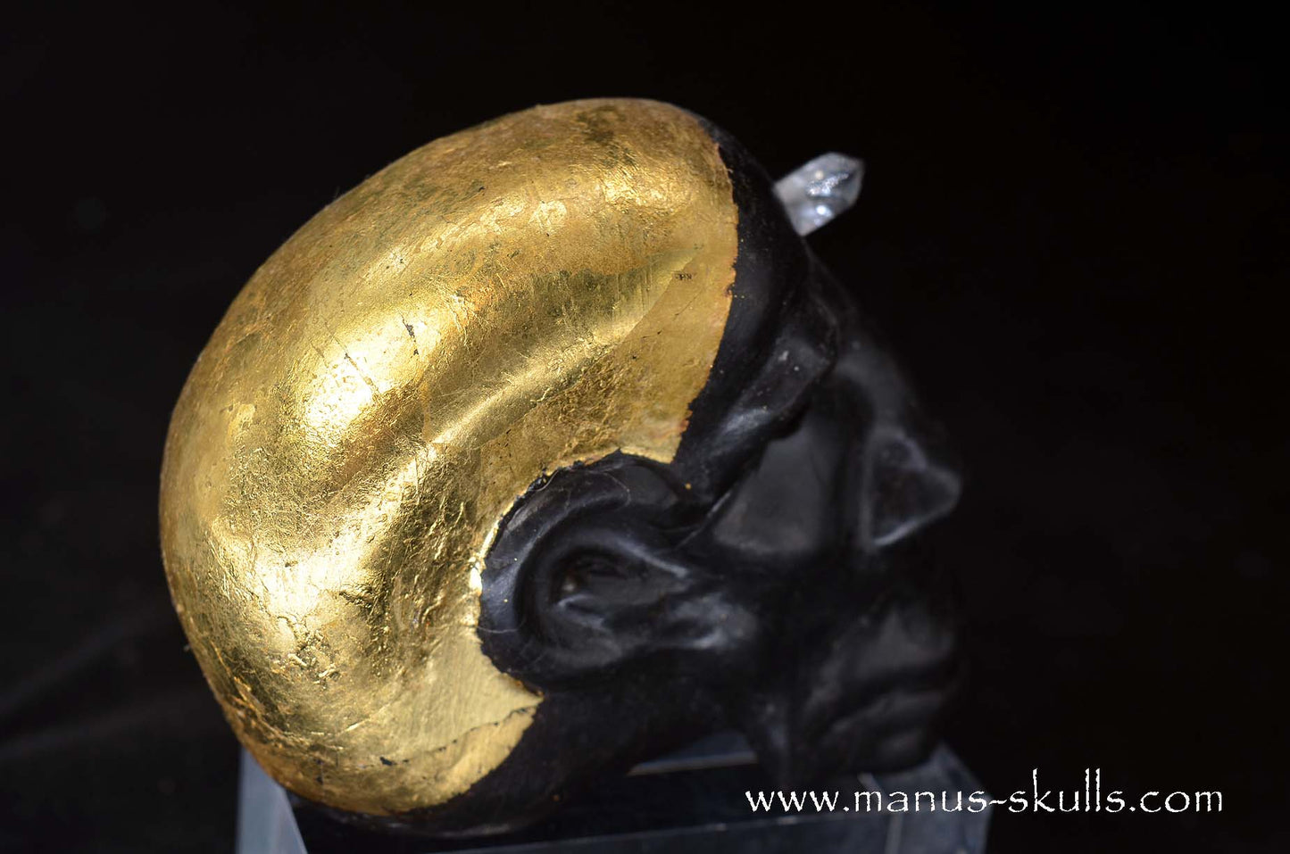 Star Light Being Skull  ("Nokh")