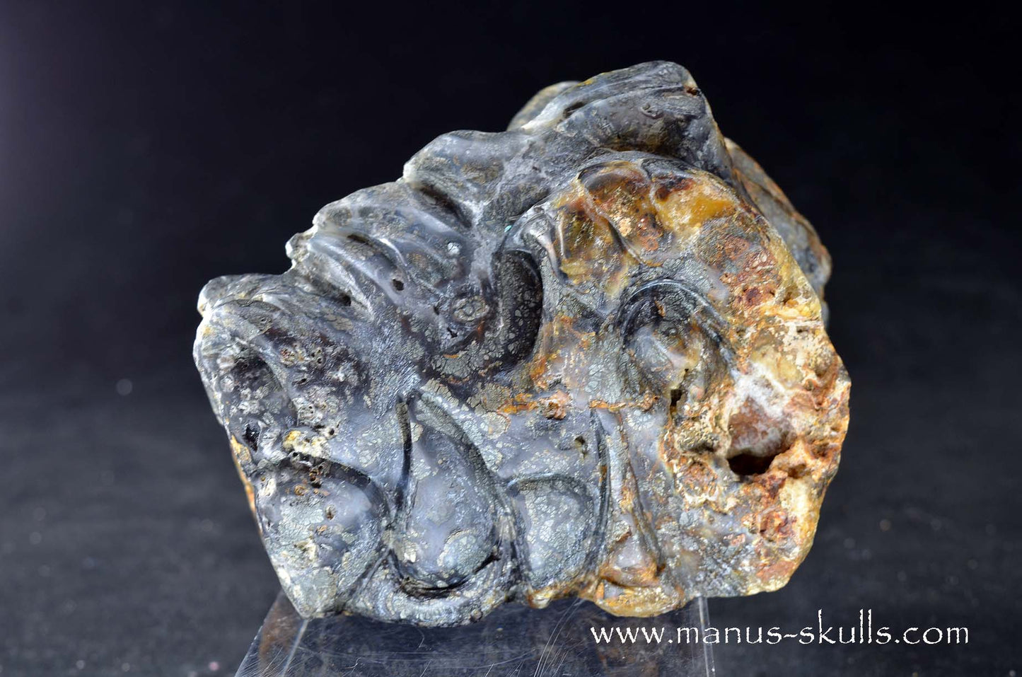 Rare MARCASITE ~ Pyrite Dragon