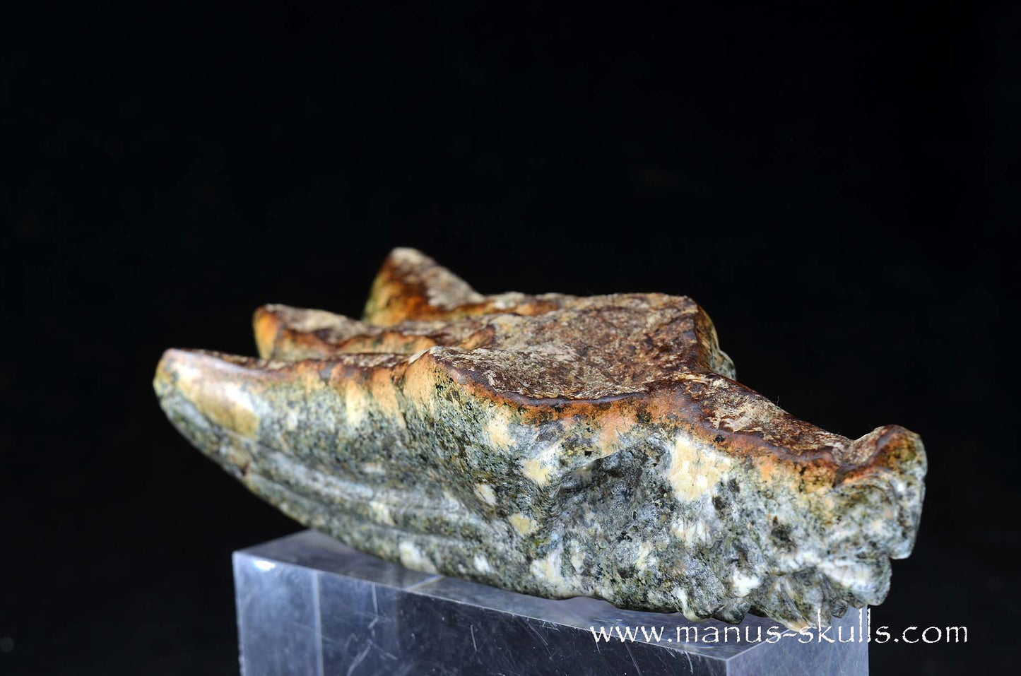 Preseli Bluestone Dragon