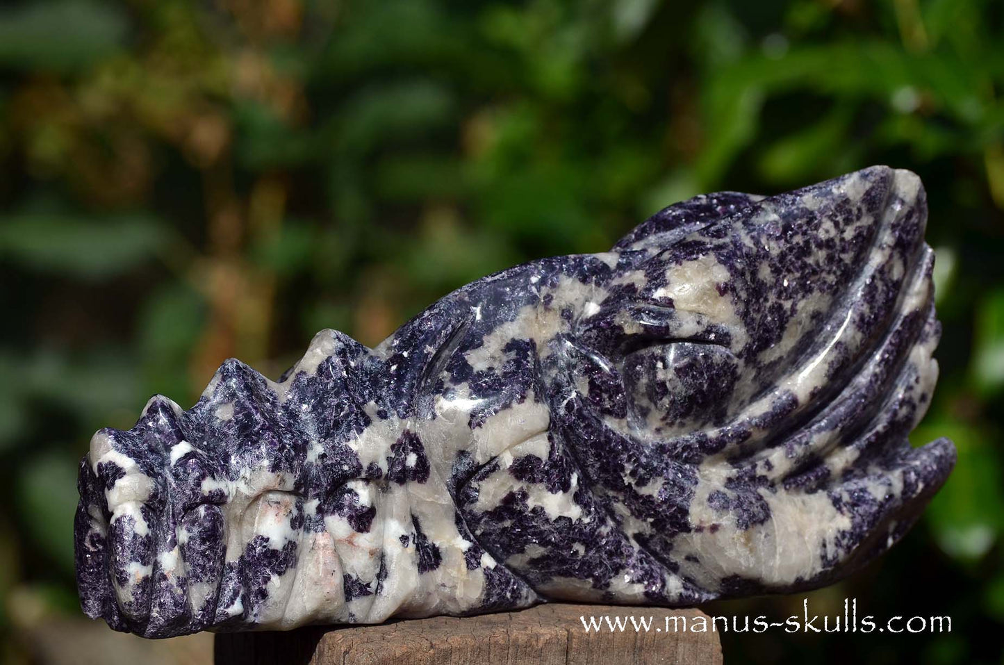 Huge LEPIDOLITE Dragon ...