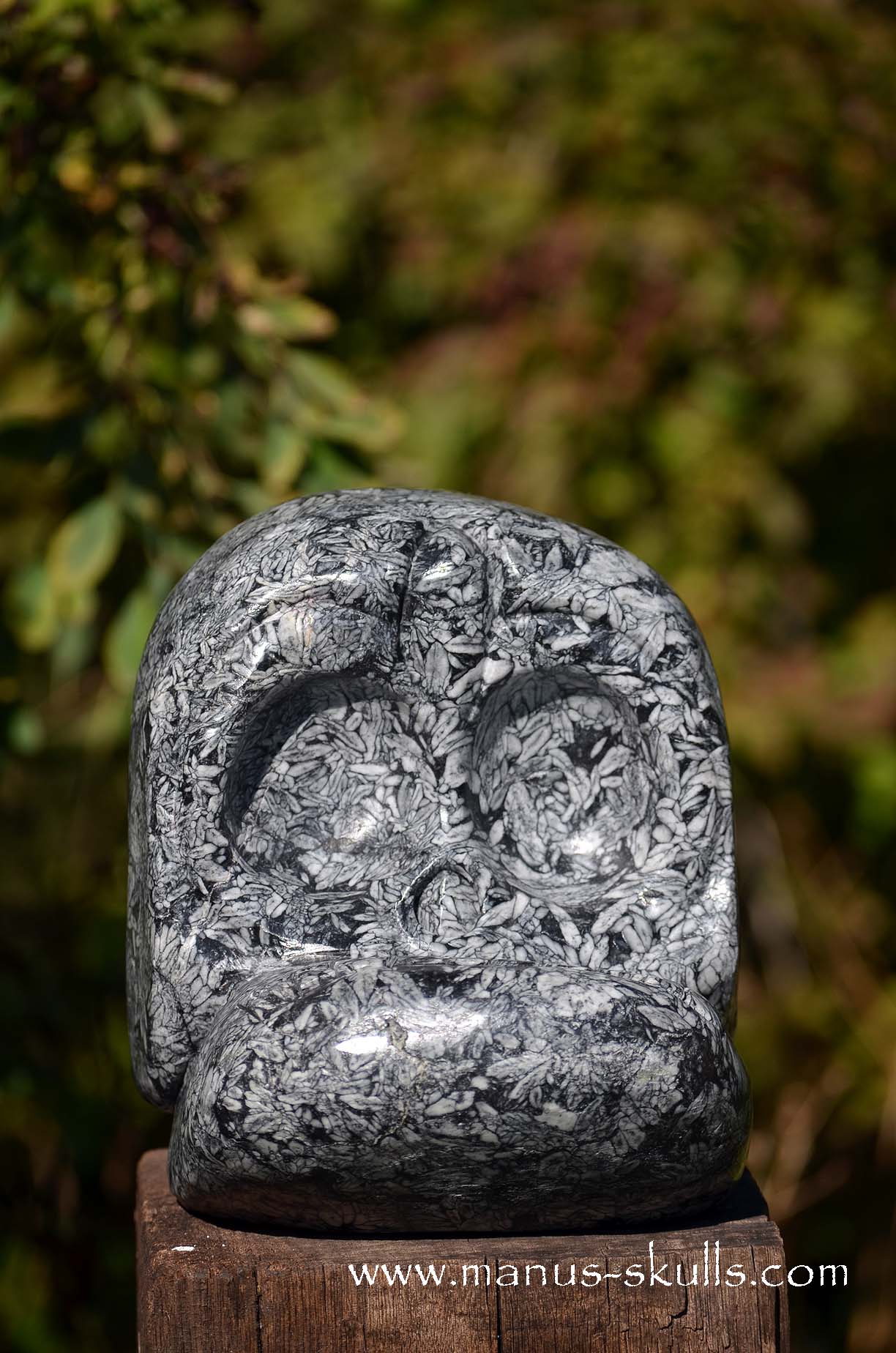 Manus skulls unique Crystal Carvings handmade skulls dragons pendants preseli bluestone tribals spiritual meaning wand Unicorn .. austrian pinolith