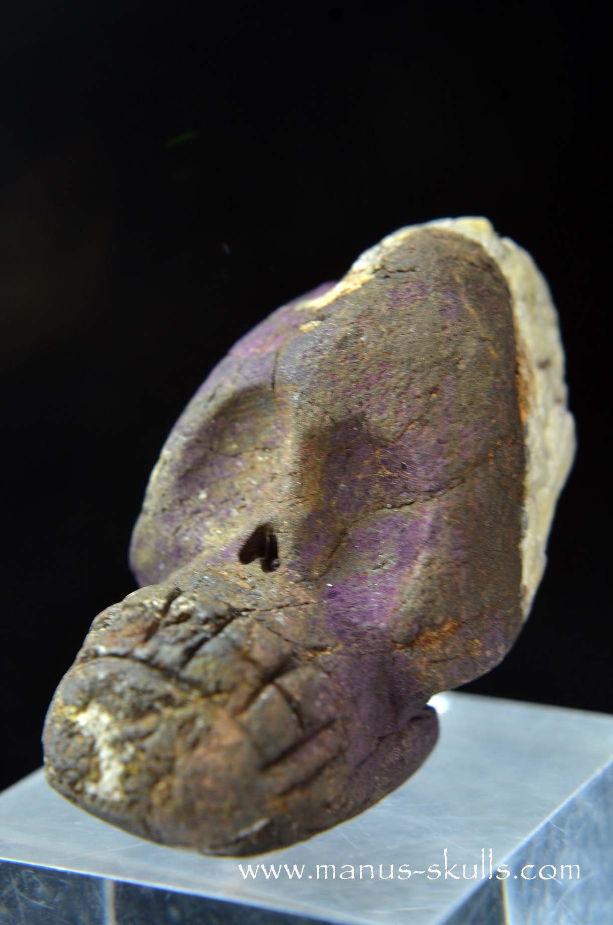 Manus skulls unique Crystal Carvings handmade skulls dragons pendants preseli bluestone tribals spiritual meaning wand Unicorn .. Evolian 2025 purpurite