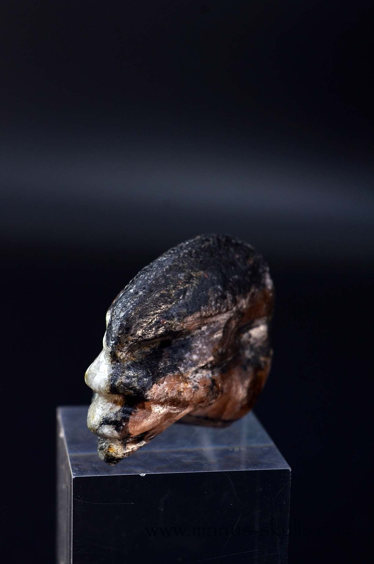 CHIASTOLITE Toothless SKULL