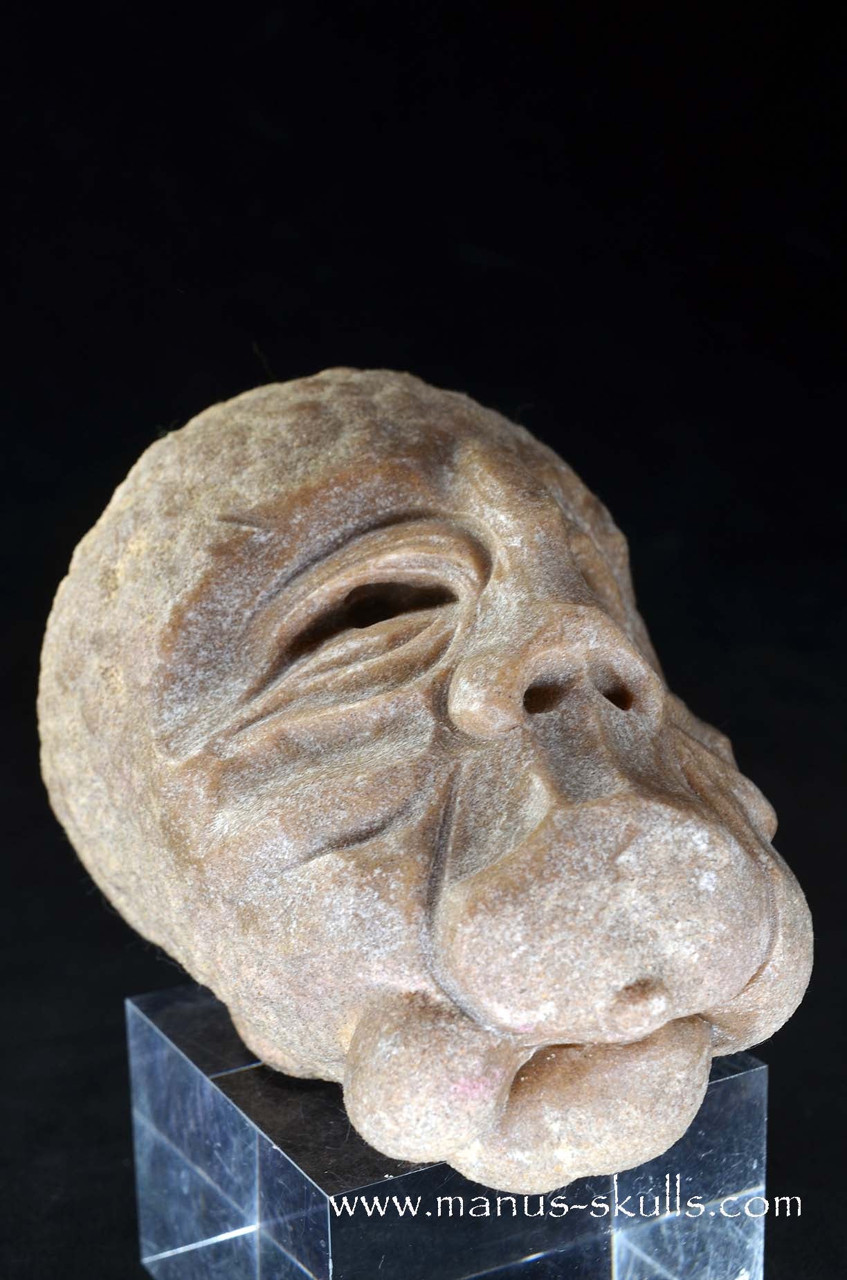 Stromatolite ~ Oncolite Character Skull