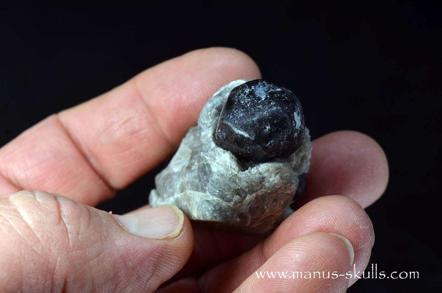 Apache Tears Obsidian on Matrix Skull #3