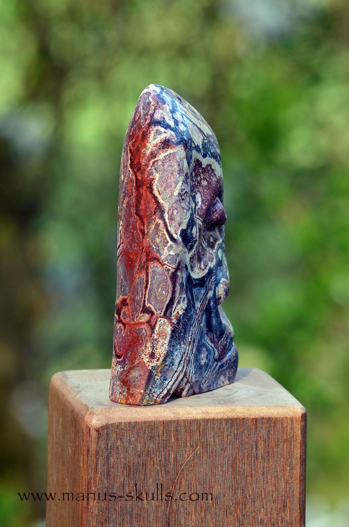Hairless Batik Jasper Tribal Skull #20
