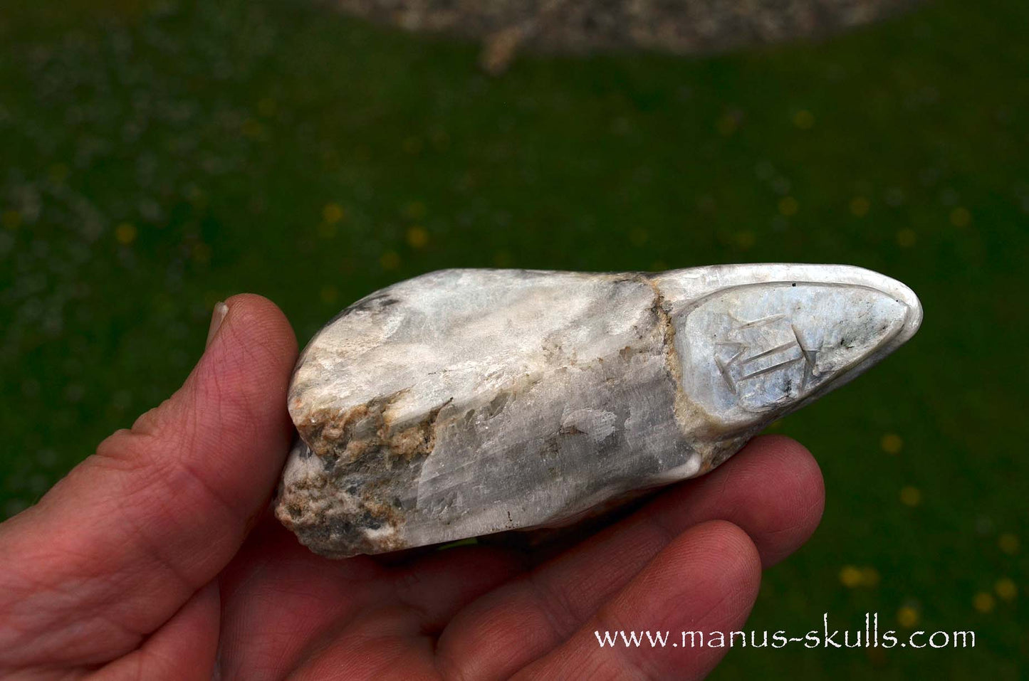 Selenite Marienglas Dragon white