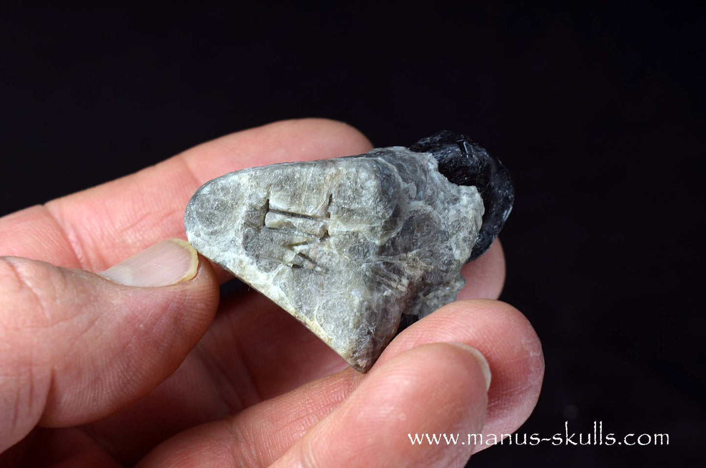 Apache Tears Obsidian on Matrix Skull #3