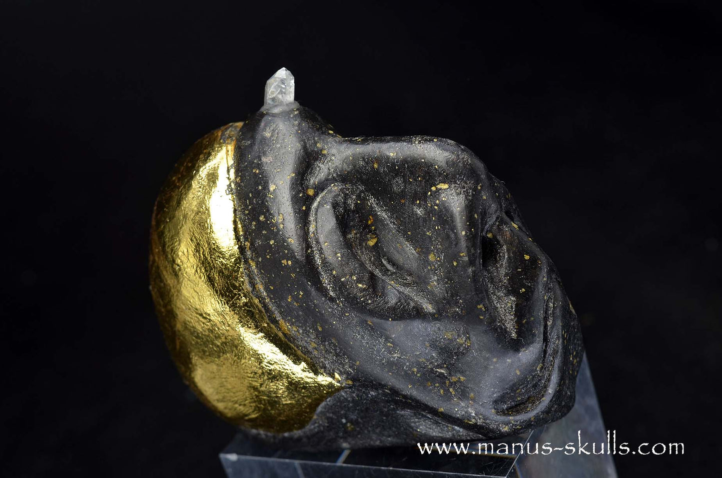 Star Light Being, 'The Second Group' (Soh’ka)