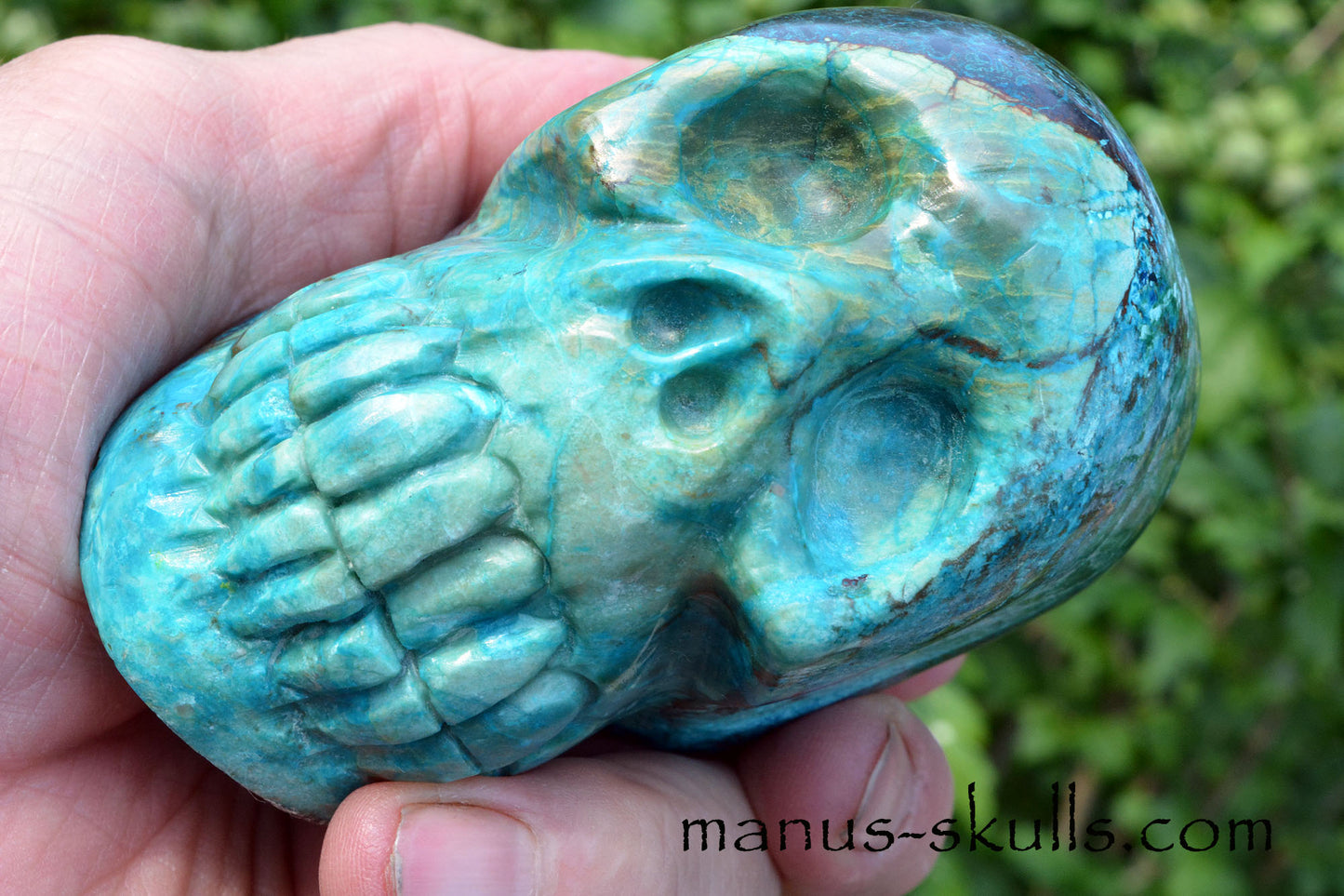 Shattuckite, Chrysocolla Skull