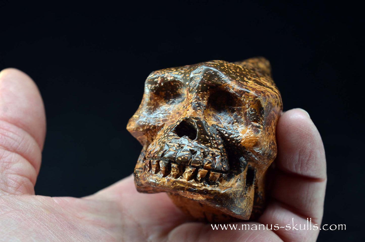 Star Rhyolite Jasper Conehead Skull