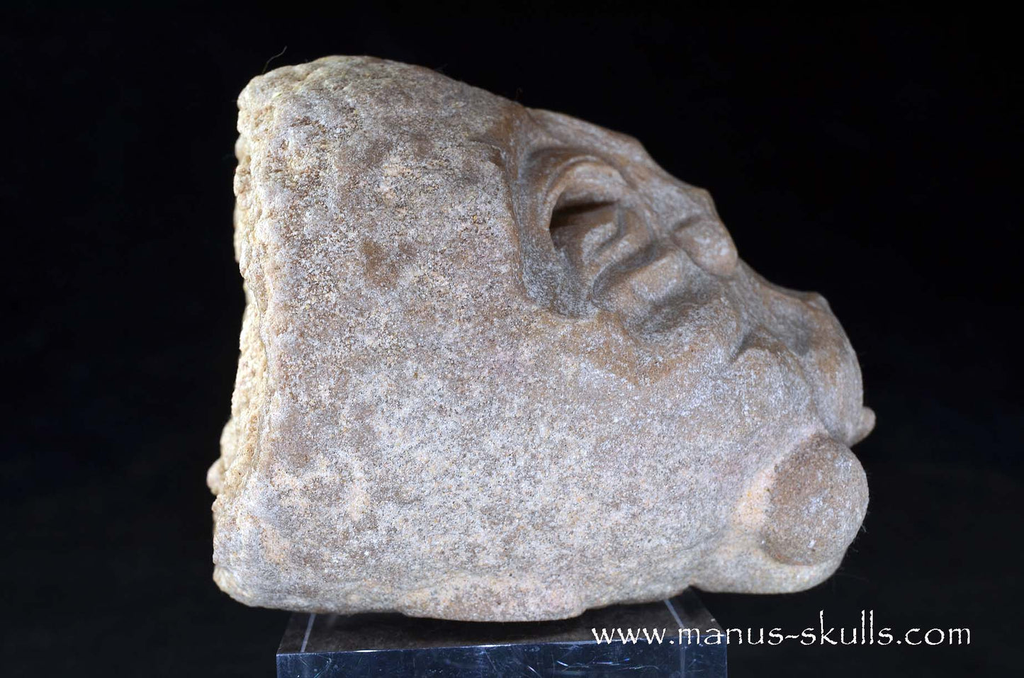 Stromatolite ~ Oncolite Character Skull