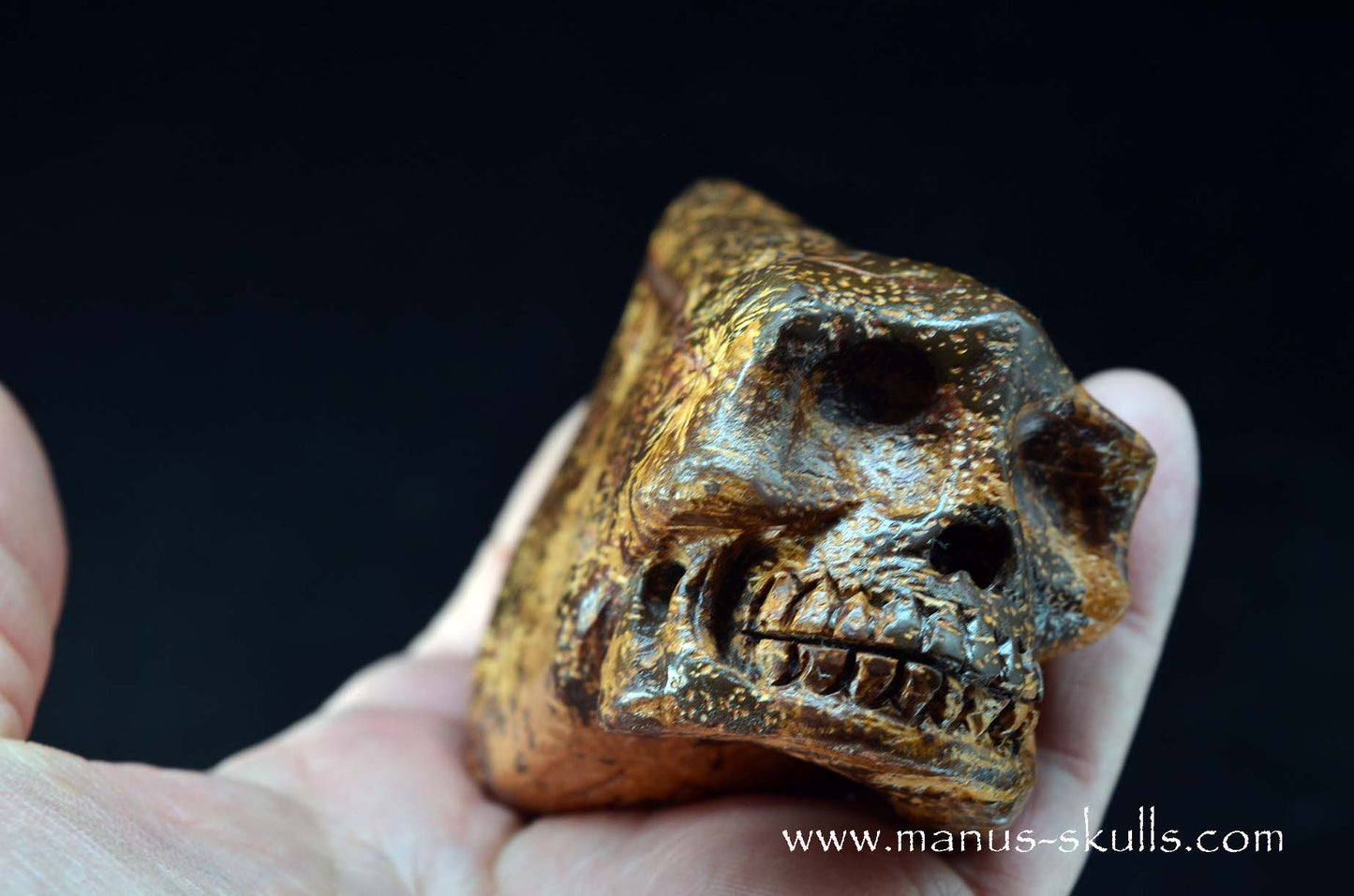 Star Rhyolite Jasper Conehead Skull