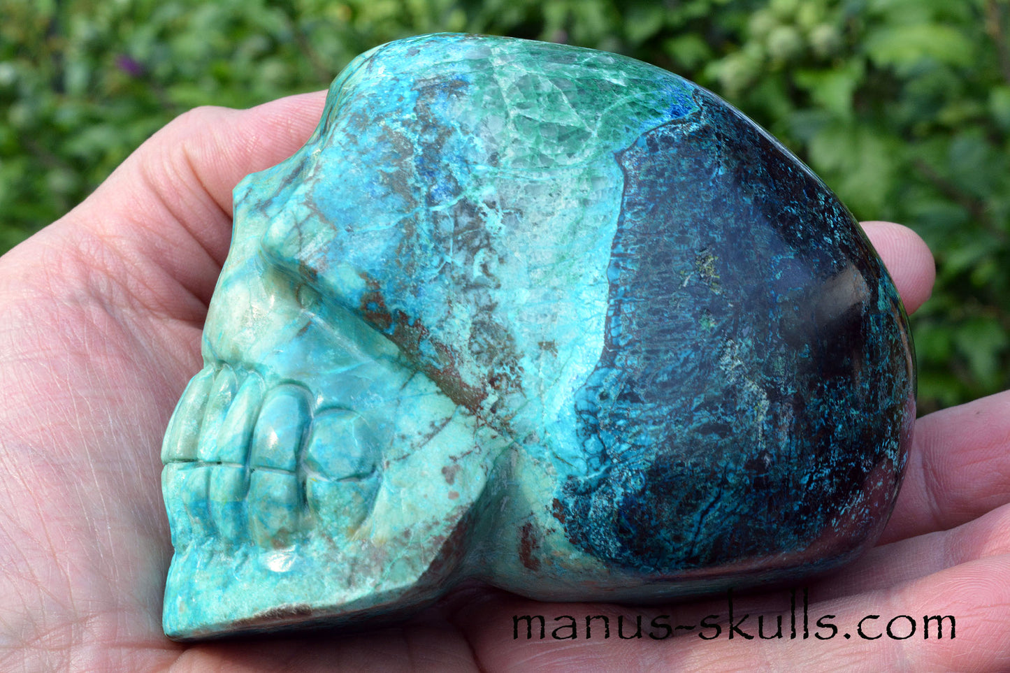 Shattuckite, Chrysocolla Skull