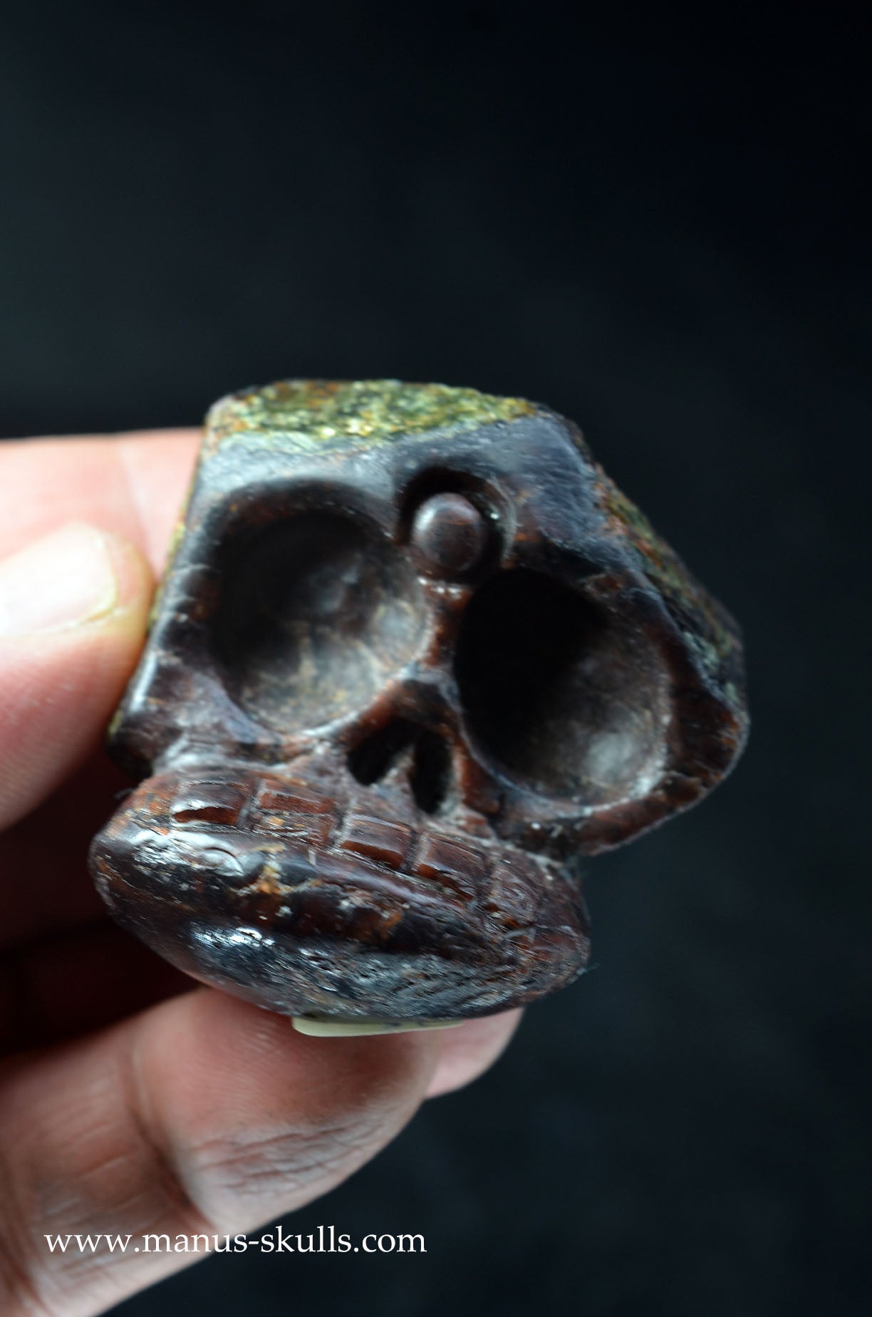 Garnet Evolian #01