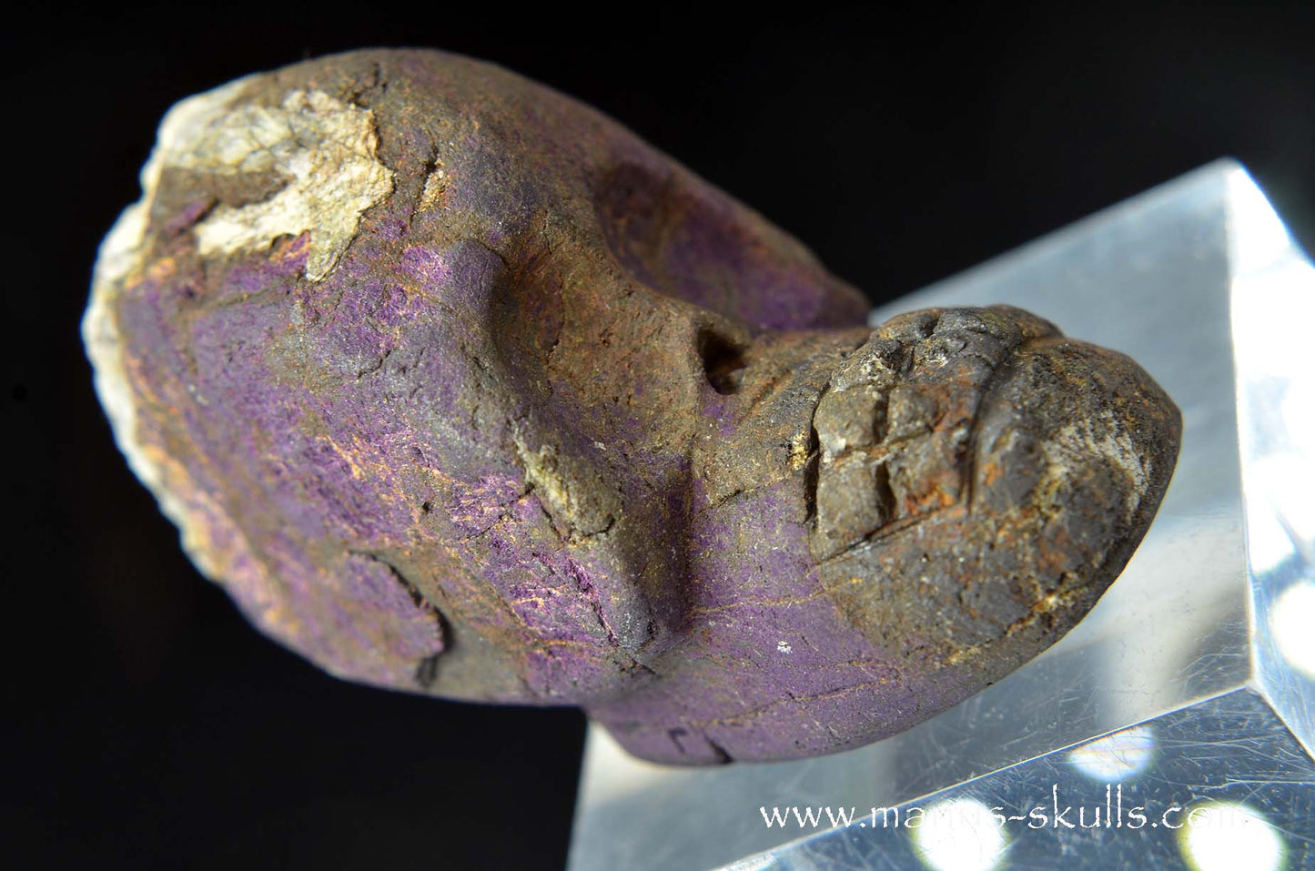 Purpurite Evolian #08