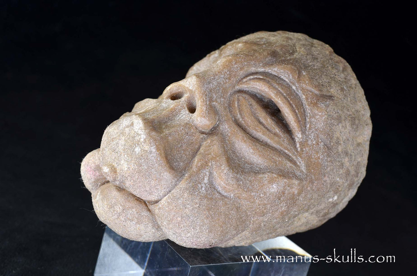 Stromatolite ~ Oncolite Character Skull