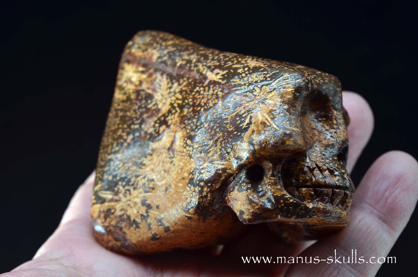 Star Rhyolite Jasper Conehead Skull