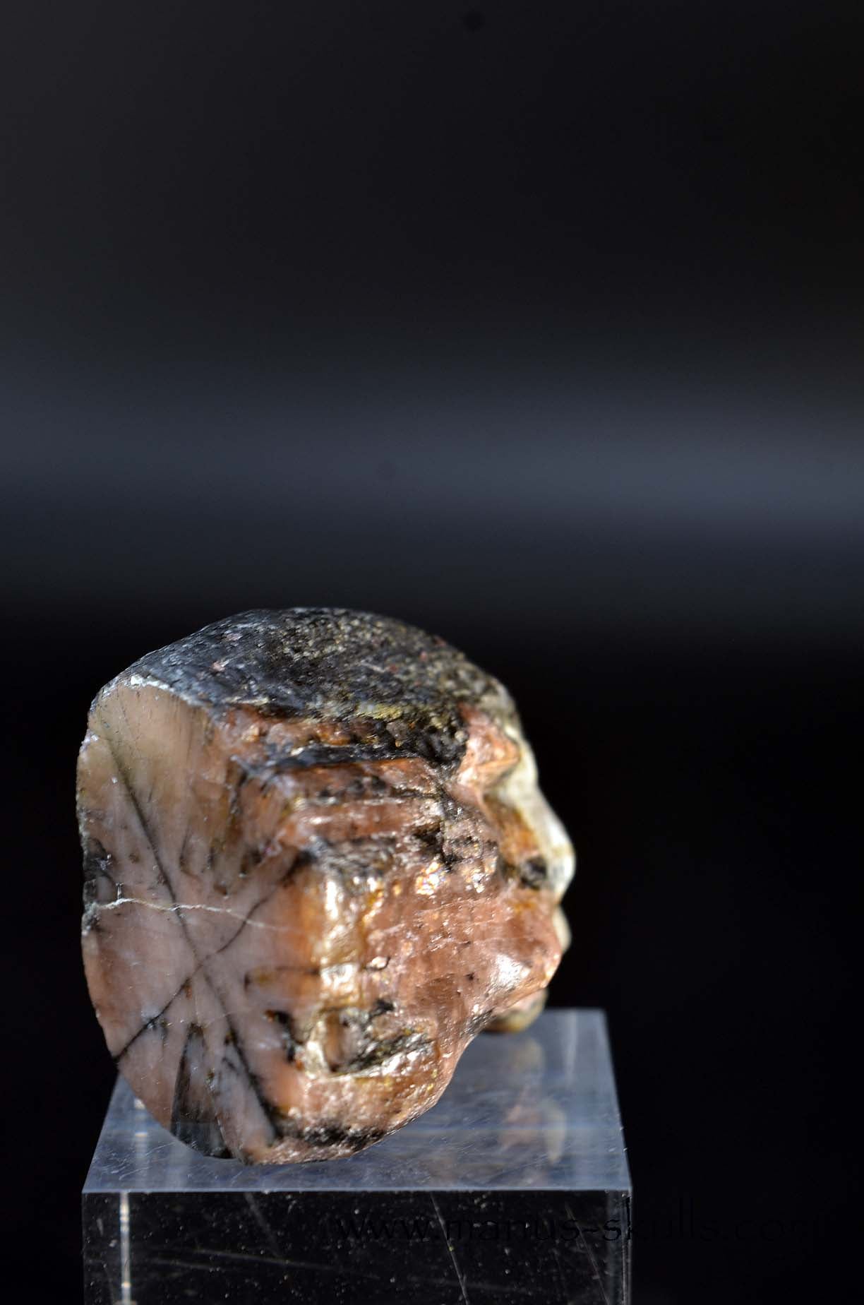 CHIASTOLITE Toothless SKULL