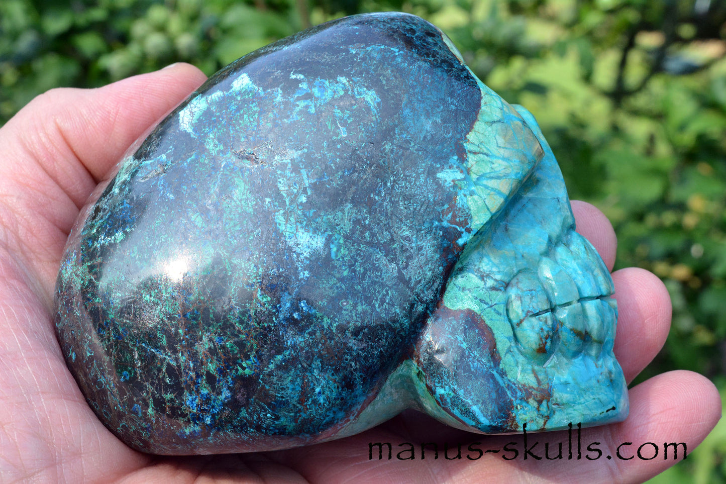 Shattuckite, Chrysocolla Skull