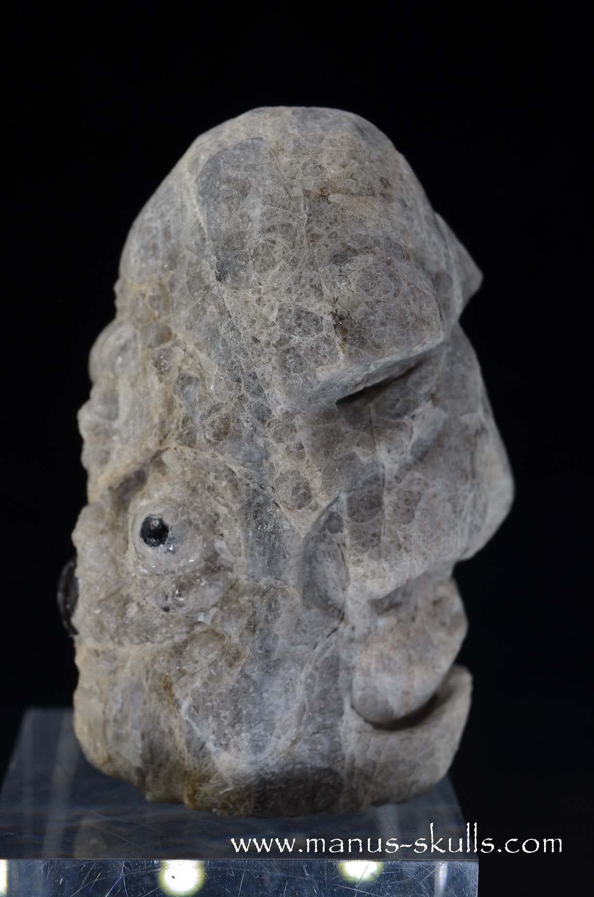 Apache Tears Obsidian on Matrix Skull #1