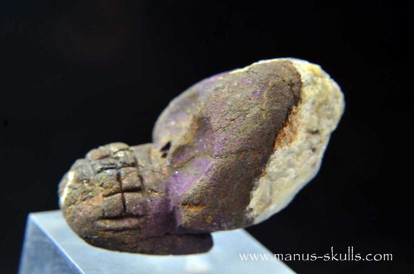 Purpurite Evolian #08