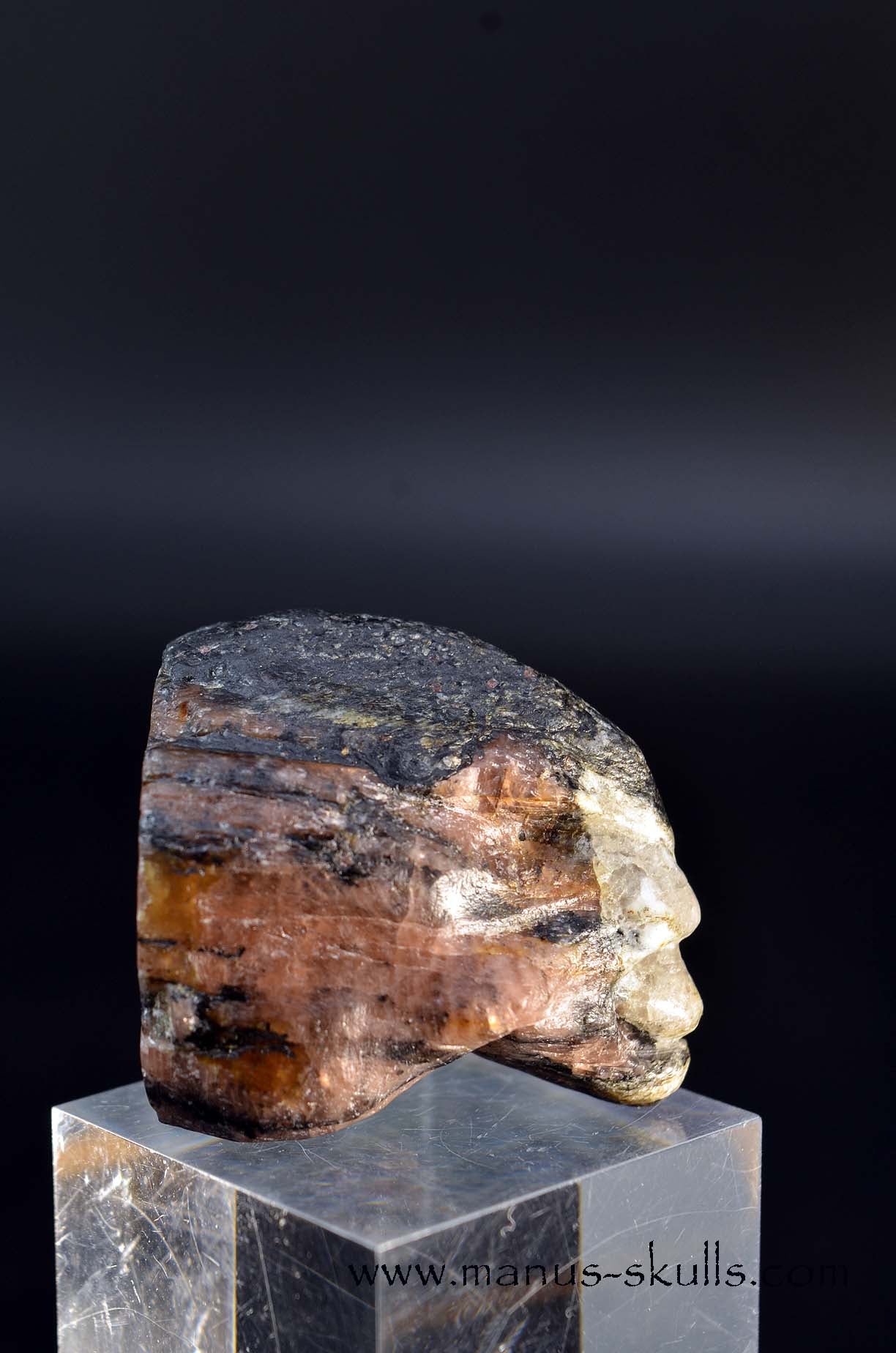 CHIASTOLITE Toothless SKULL
