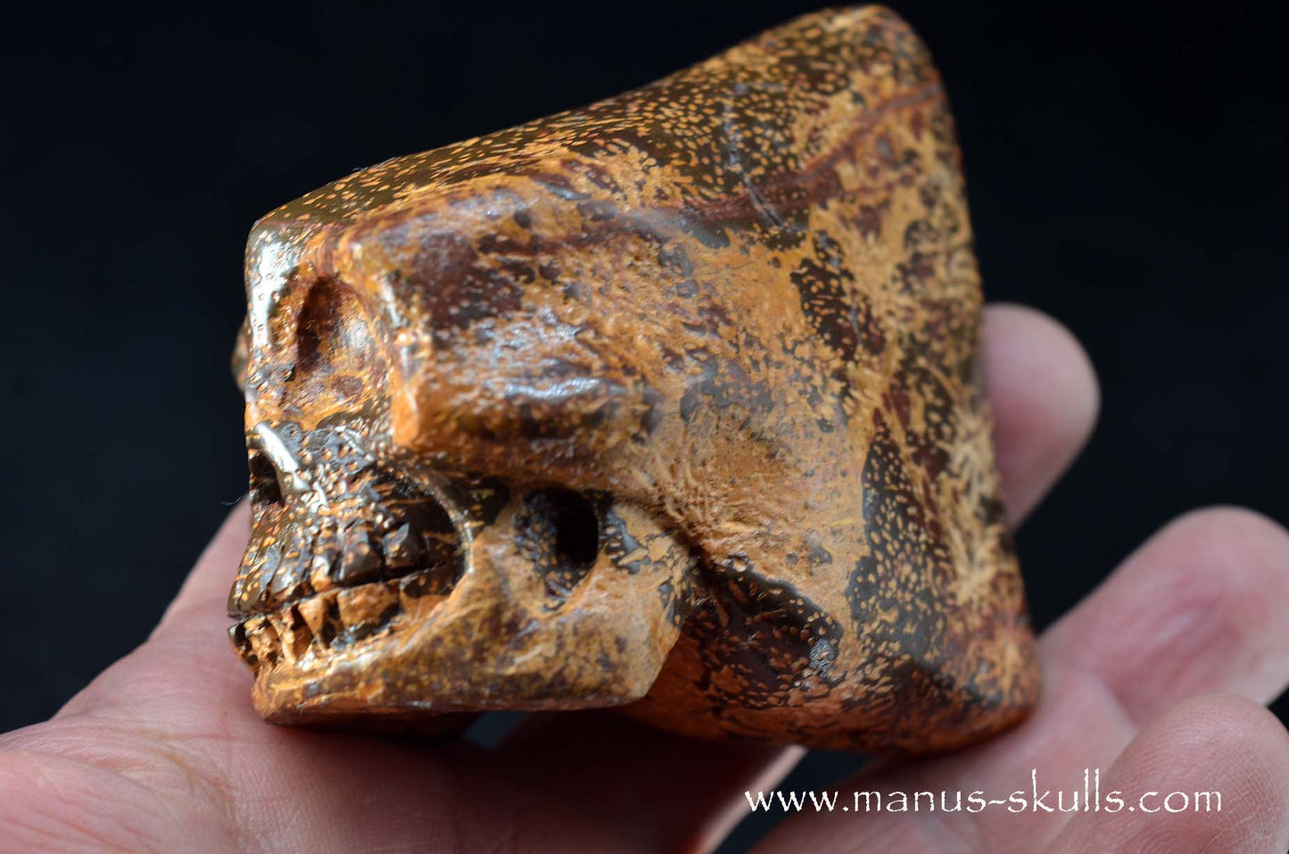 Star Rhyolite Jasper Conehead Skull