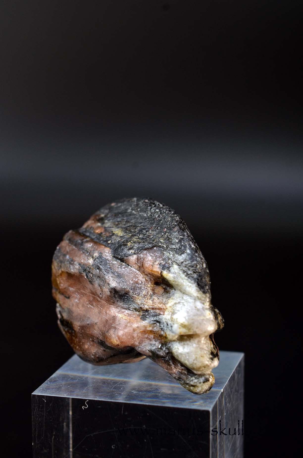CHIASTOLITE Toothless SKULL
