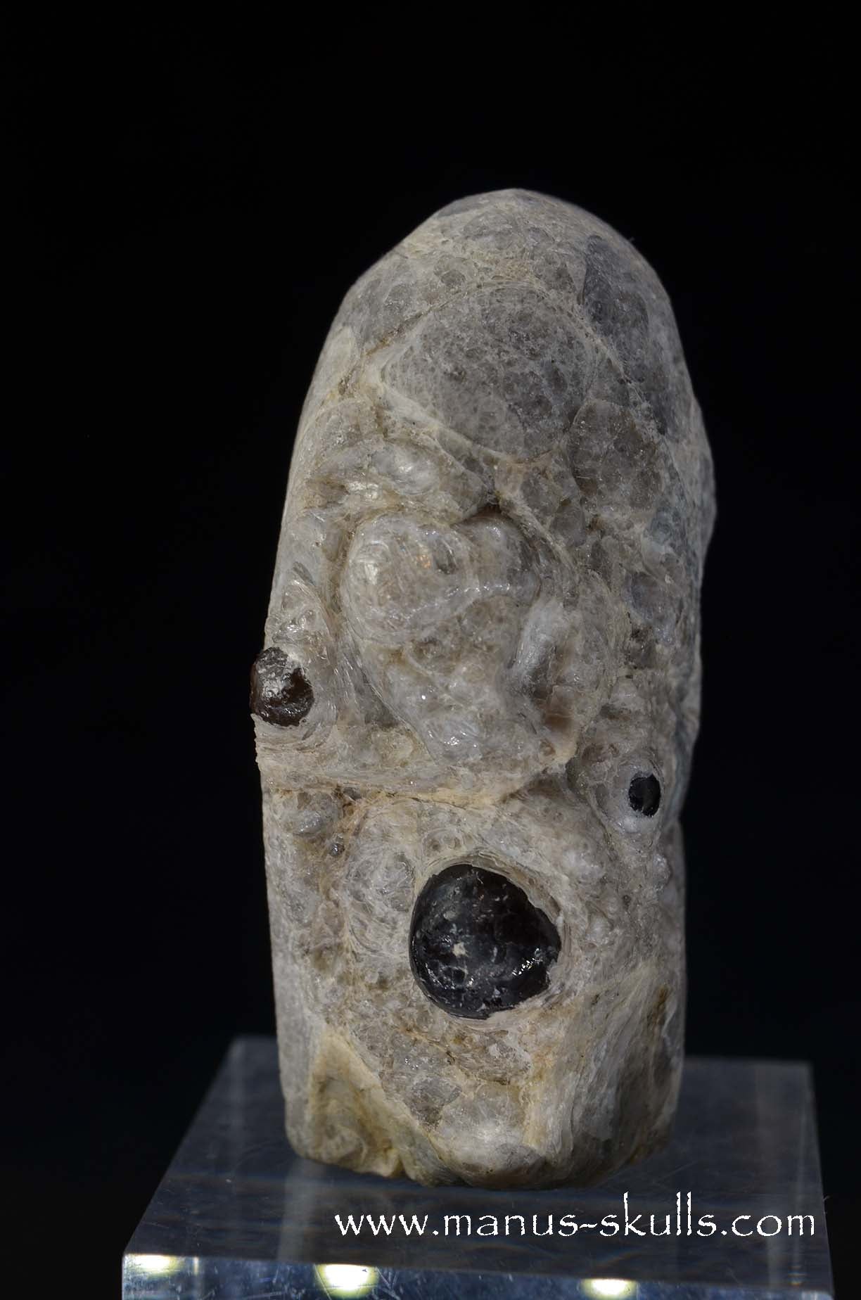 Apache Tears Obsidian on Matrix Skull #1