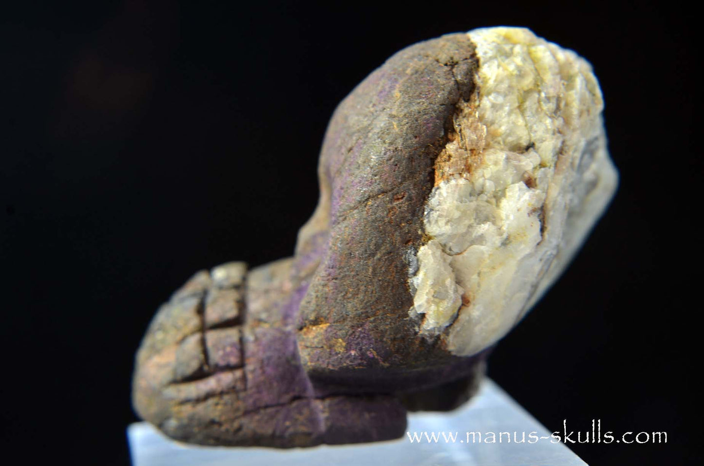 Purpurite Evolian #08