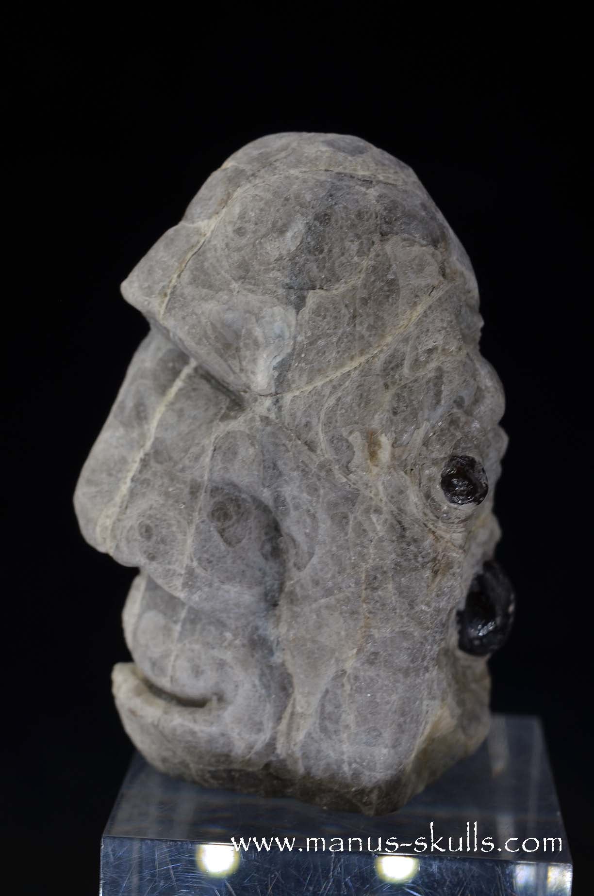 Apache Tears Obsidian on Matrix Skull #1