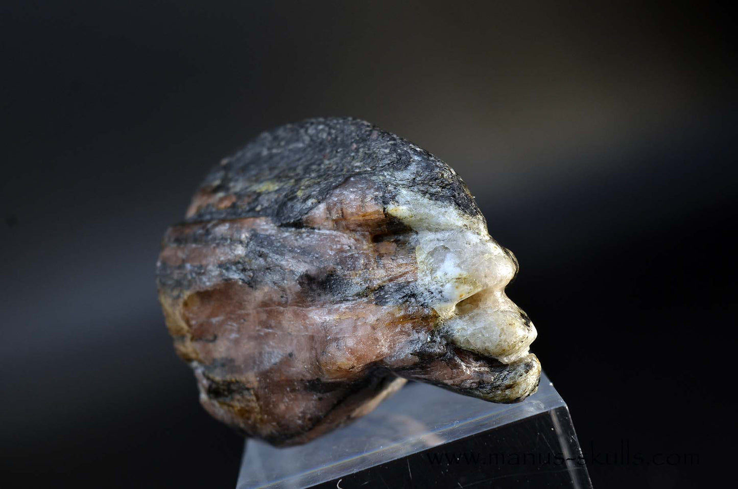 CHIASTOLITE Toothless SKULL