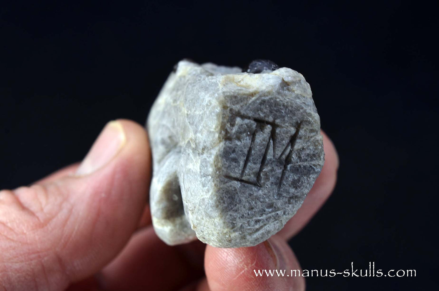 Apache Tears Obsidian on Matrix Skull #1