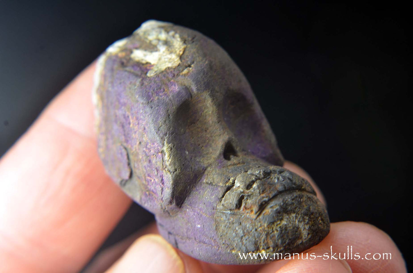 Purpurite Evolian #08